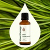 image:imagePlant Therapy Atlas Cedarwood Essential Oil 30 mL 100 Pure Undiluted