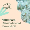 image:imagePlant Therapy Atlas Cedarwood Essential Oil 30 mL 100 Pure Undiluted