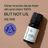 image:imagePlant Therapy Australian Sandalwood Essential Oil 5 mL 16 oz