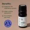 image:imagePlant Therapy Australian Sandalwood Essential Oil 5 mL 16 oz