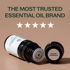 image:imagePlant Therapy Australian Sandalwood Essential Oil 5 mL 16 oz