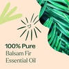 image:imagePlant Therapy Balsam Fir Essential Oil 10 mL 13 oz