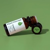 image:imagePlant Therapy Balsam Fir Essential Oil 10 mL 13 oz