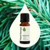 image:imagePlant Therapy Balsam Fir Essential Oil 10 mL 13 oz