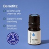 image:imagePlant Therapy Blue Tansy Essential Oil 25 mL 112 oz Pure amp Undiluted