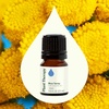 image:imagePlant Therapy Blue Tansy Essential Oil 25 mL 112 oz Pure amp Undiluted