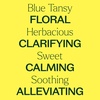 image:imagePlant Therapy Blue Tansy Essential Oil 5 mL 16 oz