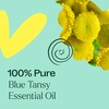 image:imagePlant Therapy Blue Tansy Essential Oil 5 mL 16 oz