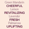 image:imagePlant Therapy Bouquet Essential Oil Blend 10 mL 13 oz 100 Pure Undiluted for Essential Oil Diffuser or DIY Perfume