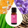 image:imagePlant Therapy Bouquet Essential Oil Blend 10 mL 13 oz 100 Pure Undiluted for Essential Oil Diffuser or DIY Perfume