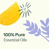 image:imagePlant Therapy Breathe Easy Essential Oil Set of 6 Bottles 10 mL 13 oz Each Lavender Eucalyptus Peppermint Lemongrass Orange Sweet Tea Tree 100 Pure Aromatherapy