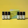 image:imagePlant Therapy Breathe Easy Essential Oil Set of 6 Bottles 10 mL 13 oz Each Lavender Eucalyptus Peppermint Lemongrass Orange Sweet Tea Tree 100 Pure Aromatherapy