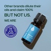 image:imagePlant Therapy Chill Out Essential Oil Blend 10 mL for Stress amp Calming