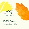 image:imagePlant Therapy Chill Out Essential Oil Blend 10 mL for Stress amp Calming