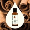 image:imagePlant Therapy Cinnamon Bark Essential Oil 30 mL 1 oz 100 Pure Cinnamon Oil Undiluted Aromatherapy for Diffusing and Sore Muscle Relief