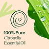 image:imagePlant Therapy Citronella Essential Oil 10 mL 13 oz Pure Undiluted