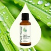image:imagePlant Therapy Citronella Organic Essential Oil 30 mL 1 oz 100 Pure USDA Certified Organic Undiluted Natural Aromatherapy for Outdoor Pests and Immune Support