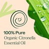 image:imagePlant Therapy Citronella Organic Essential Oil 30 mL 1 oz 100 Pure USDA Certified Organic Undiluted Natural Aromatherapy for Outdoor Pests and Immune Support