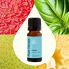 image:imagePlant Therapy Clarity Essential Oil Blend 10 mL 13 oz