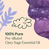 image:imagePlant Therapy Clary Sage PreDiluted Essential Oil RollOn 10 mL 13 oz 100 Pure Natural Calming Aromatherapy for Sleep Hair Skin and Womens Health