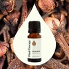 image:imagePlant Therapy Clove Bud Essential Oil 10 mL 13 oz 100 Pure Undiluted Natural Aromatherapy Immune Support Sore Muscle amp Joint Relief