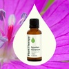 image:imagePlant Therapy Egyptian Geranium Essential Oil 30 mL 1 oz100 Pure Undiluted Natural Aromatherapy Stress Relief Emotional Balance
