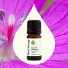 image:imagePlant Therapy Egyptian Geranium Essential Oil 5 mL 16 oz100 Pure Undiluted Natural Aromatherapy Stress Relief Emotional Balance