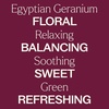image:imagePlant Therapy Egyptian Geranium Essential Oil 5 mL 16 oz100 Pure Undiluted Natural Aromatherapy Stress Relief Emotional Balance