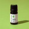 image:imagePlant Therapy Egyptian Geranium Essential Oil 5 mL 16 oz100 Pure Undiluted Natural Aromatherapy Stress Relief Emotional Balance