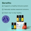image:imagePlant Therapy Essential Oil Blends Set Top 6 Most Popular 10 mL 13 oz Each 100 Pure Undiluted Great for Essential Oil Diffusers or Body Care Creations