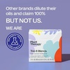 image:imagePlant Therapy Essential Oil Blends Set Top 6 Most Popular 10 mL 13 oz Each 100 Pure Undiluted Great for Essential Oil Diffusers or Body Care Creations