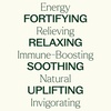 image:imagePlant Therapy Essential Oil Blends Set Top 6 Most Popular 10 mL 13 oz Each 100 Pure Undiluted Great for Essential Oil Diffusers or Body Care Creations