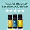 image:imagePlant Therapy Essential Oil Blends Set Top 6 Most Popular 10 mL 13 oz Each 100 Pure Undiluted Great for Essential Oil Diffusers or Body Care Creations