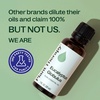 image:imagePlant Therapy Eucalyptus Globulus Essential Oil 30 mL Pure Essential Oil