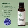 image:imagePlant Therapy Eucalyptus Globulus Essential Oil 30 mL Pure Essential Oil