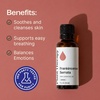 image:imagePlant Therapy Frankincense Essential Oil Serrata 30 mL 1 oz