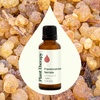 image:imagePlant Therapy Frankincense Essential Oil Serrata 30 mL 1 oz