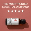 image:imagePlant Therapy Frankincense Essential Oil Serrata 30 mL 1 oz