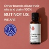 image:imagePlant Therapy Frankincense Essential Oil Serrata 30 mL 1 oz