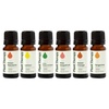 image:imagePlant Therapy Fruit Essential Oil Set  Grapefruit Tangerine Lemon Mandarin Lime Orange Sweet Essential Oils 100 Pure Undiluted for Diffusers amp DIYs 10 mL 13 oz Each