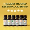 image:imagePlant Therapy Fruit Essential Oil Set  Grapefruit Tangerine Lemon Mandarin Lime Orange Sweet Essential Oils 100 Pure Undiluted for Diffusers amp DIYs 10 mL 13 oz Each