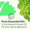 image:imagePlant Therapy Gut Aid Essential Oil Blend RollOn 10 mL 13 oz