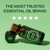image:imagePlant Therapy Holiday Season Essential Oil Blend 10 mL 13 oz 100 Pure Undiluted Great for Use in Essential Oil Diffusers and Natural DIY Crafts