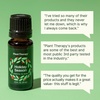 image:imagePlant Therapy Holiday Season Essential Oil Blend 10 mL 13 oz 100 Pure Undiluted Great for Use in Essential Oil Diffusers and Natural DIY Crafts