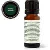 image:imagePlant Therapy Holiday Season Essential Oil Blend 10 mL 13 oz 100 Pure Undiluted Great for Use in Essential Oil Diffusers and Natural DIY Crafts