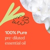 image:imagePlant Therapy Jasmine Sambac Absolute PreDiluted Essential Oil Perfume RollOn 10 mL 13 oz 100 Pure Floral Aromatherapy for Mood amp Skin