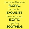 image:imagePlant Therapy Jasmine Sambac Absolute PreDiluted Essential Oil Perfume RollOn 10 mL 13 oz 100 Pure Floral Aromatherapy for Mood amp Skin