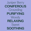 image:imagePlant Therapy Juniper Berry Essential Oil 100 Pure Undiluted Natural Aromatherapy Therapeutic Grade 30 mL 1 oz