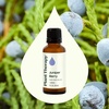 image:imagePlant Therapy Juniper Berry Essential Oil 100 Pure Undiluted Natural Aromatherapy Therapeutic Grade 30 mL 1 oz