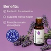 image:imagePlant Therapy Lavender Essential Oil 30 mL Pure amp Undiluted Aromatherapy